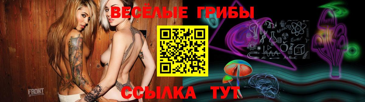 Павлово  Псилоцибиновые грибы Psilocybe  Псилоцибиновые грибы Psilocybe  Вход с VPN 