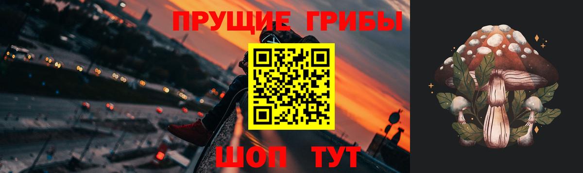 Галлюциногенные грибы Magic Shrooms Павлово